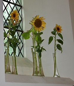 Harvest Flowers 2025